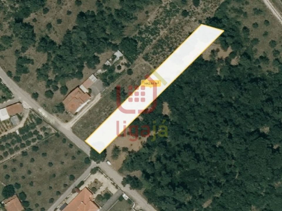 Helårsgrund i Ourem, Santarem - foto 5