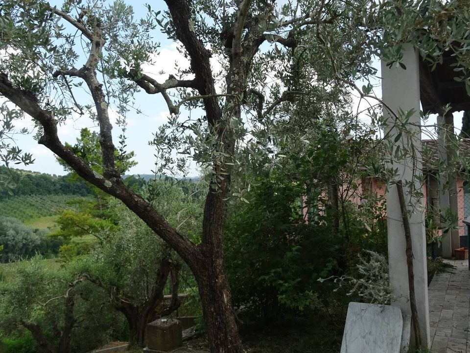 Herregård i Montespertoli, Florence - bilde 1