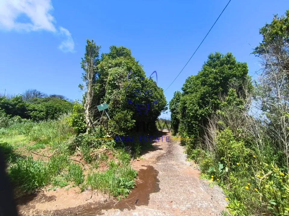 Villa i Achadas da cruz, Madeira - foto 3
