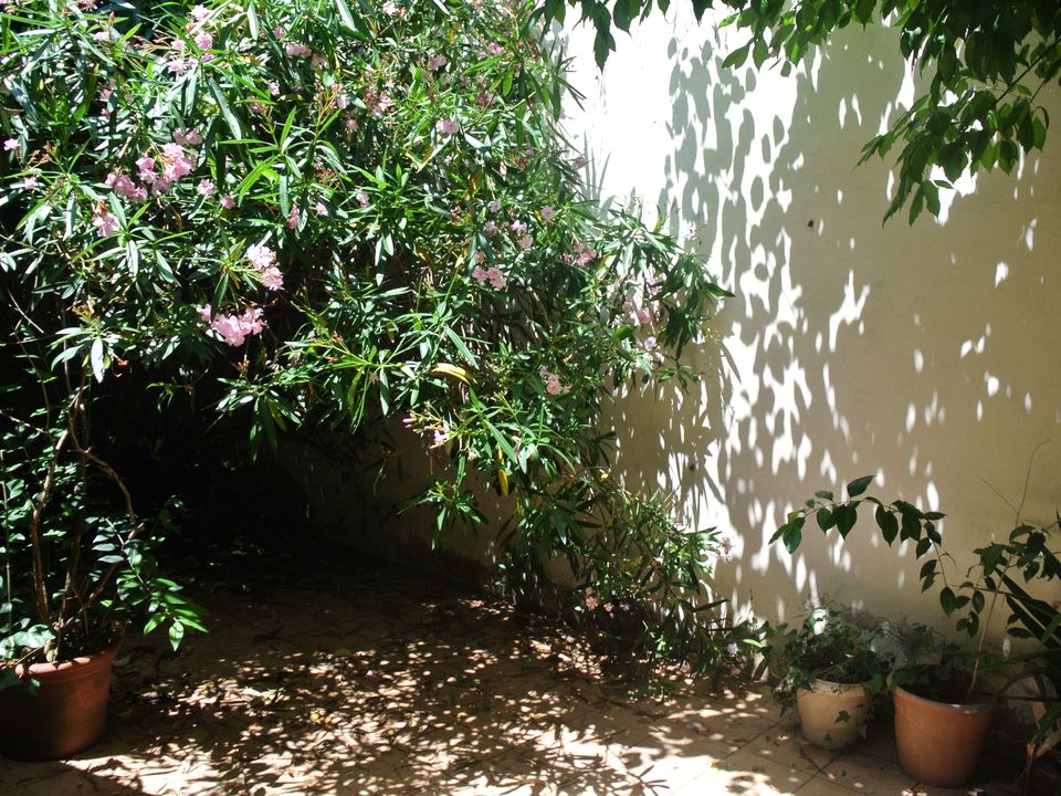 Villa i Marmande, Lot-et-Garonne - foto 3