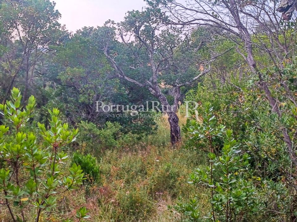 Helårsgrund i Bordeira, Faro - foto 2