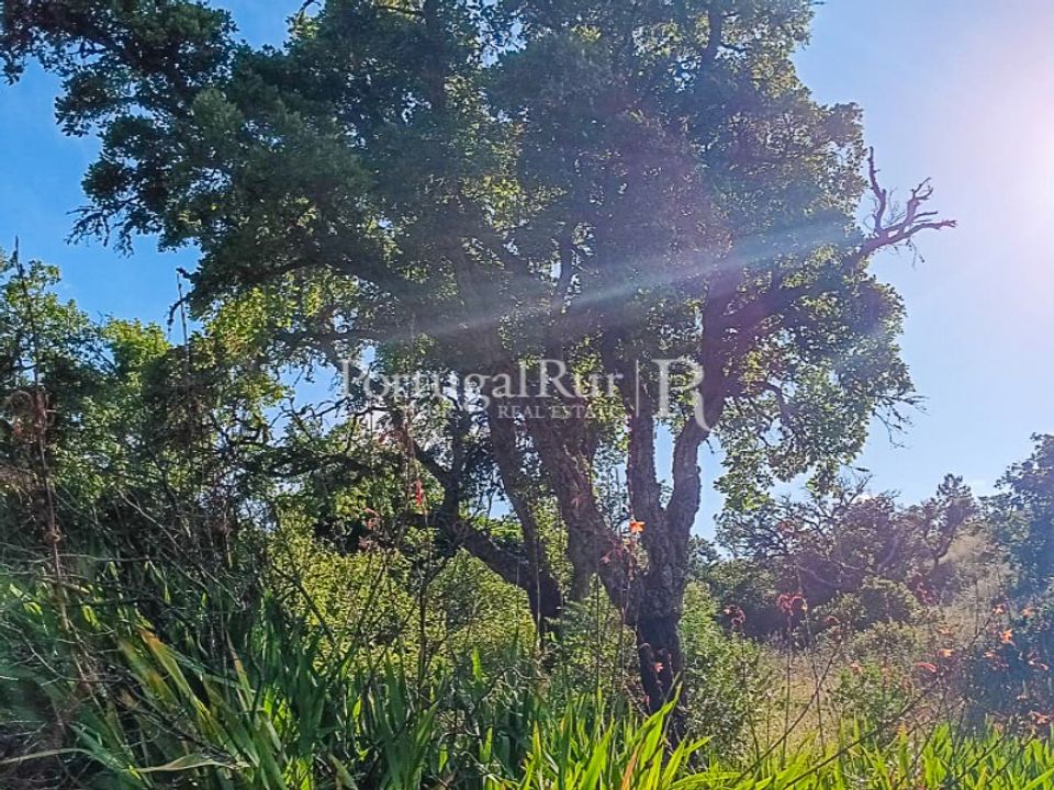 Helårsgrund i Bordeira, Faro - foto 1