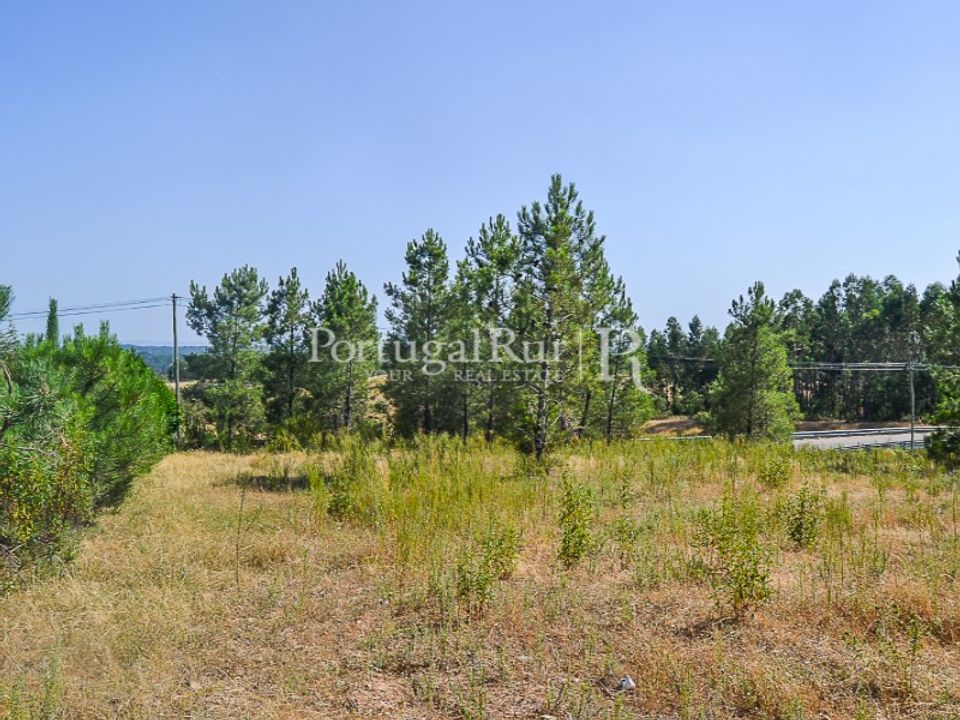 Helårsgrund i Proenca-a-Nova, Castelo Branco - foto 1