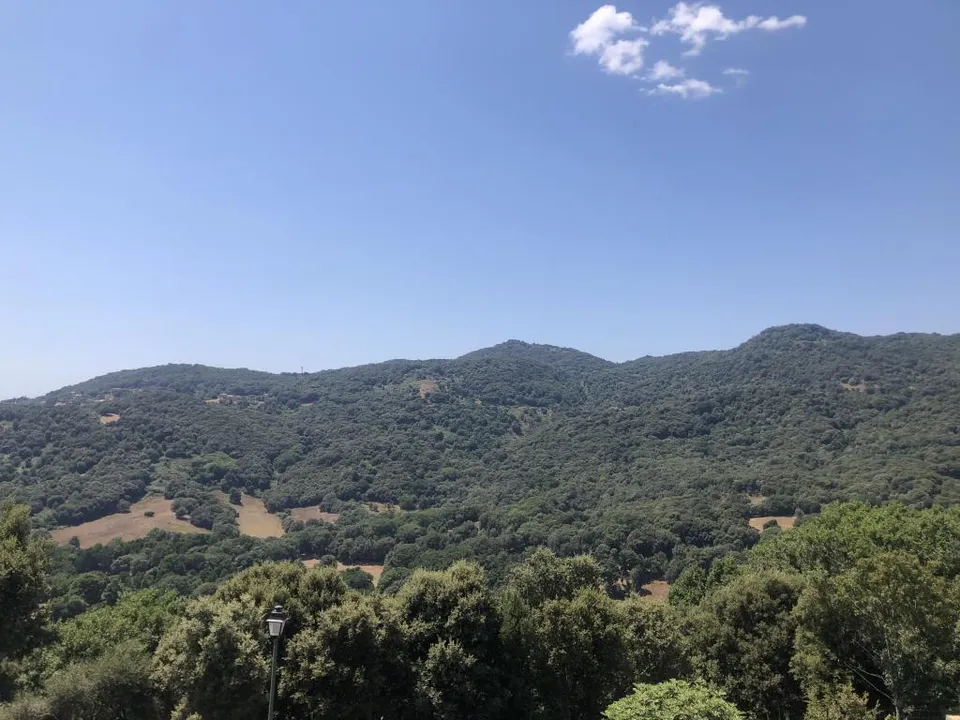 Villa i Forciolo, Corse-du-Sud - foto 3
