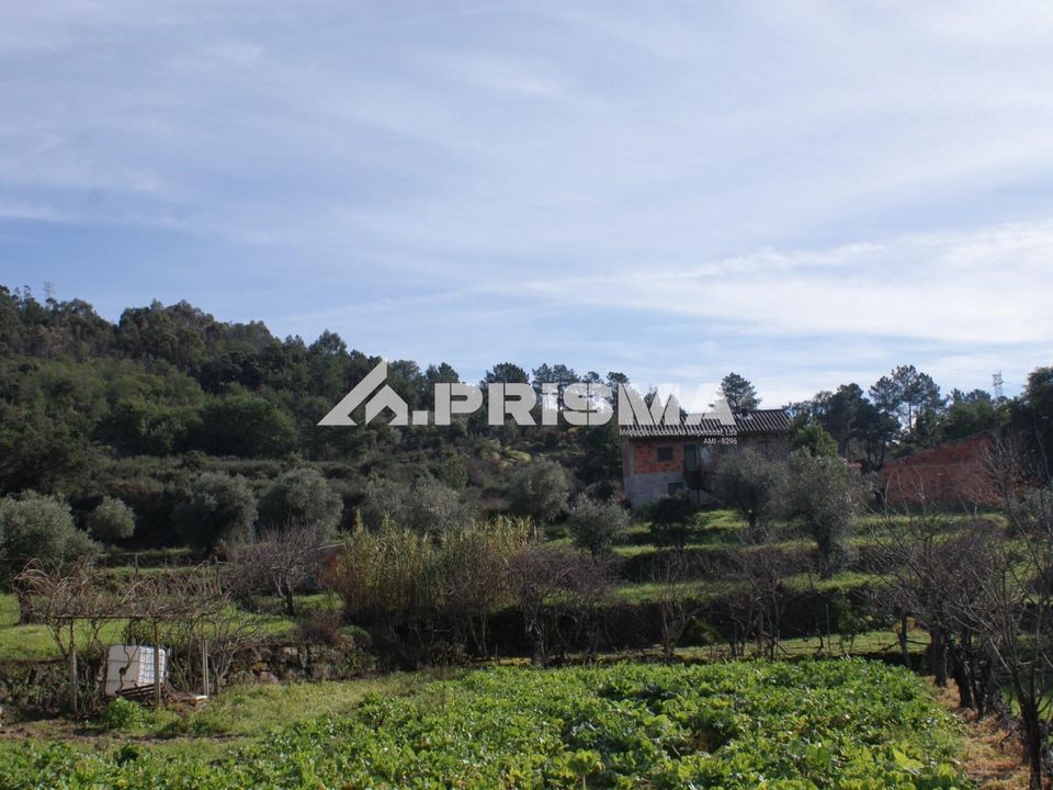 Farm i Fundao, Castelo Branco - foto 2