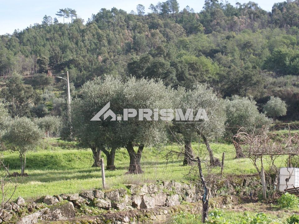 Farm i Fundao, Castelo Branco - foto 3