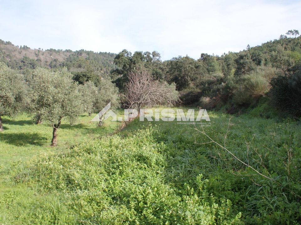 Farm i Fundao, Castelo Branco - foto 4
