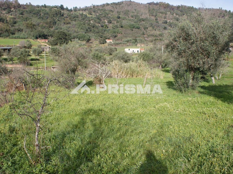 Farm i Fundao, Castelo Branco - foto 5