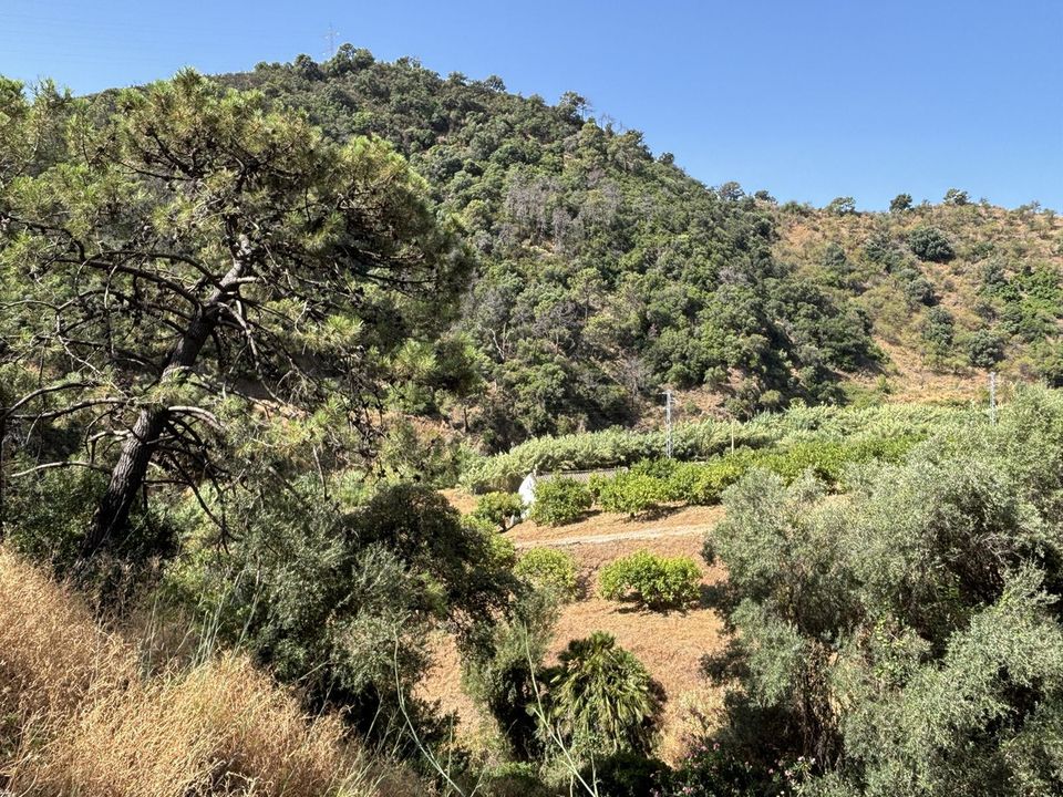 Helårsgrund i El Padron, Malaga - foto 3