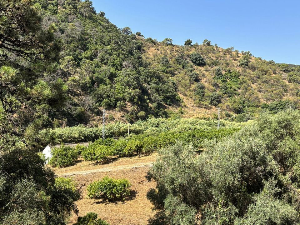 Helårsgrund i El Padron, Malaga - foto 4