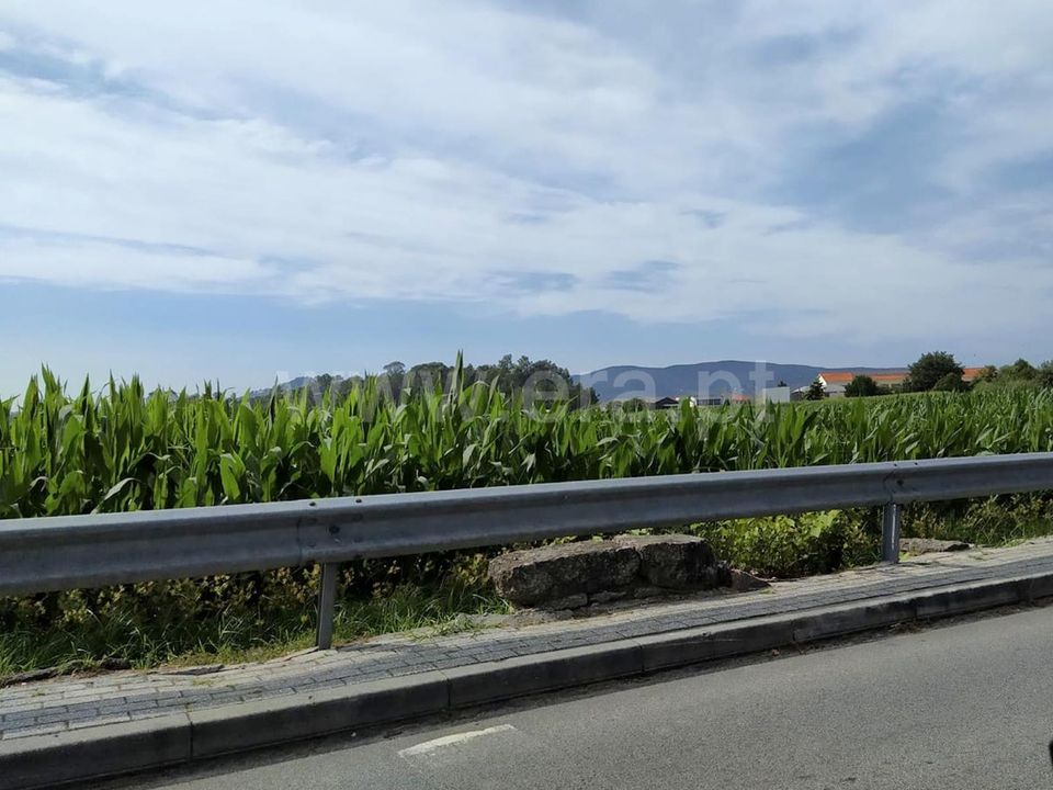 Helårsgrund i Barcelos, Braga - foto 3
