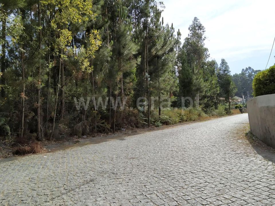 Helårsgrund i Barcelos, Braga - foto 4