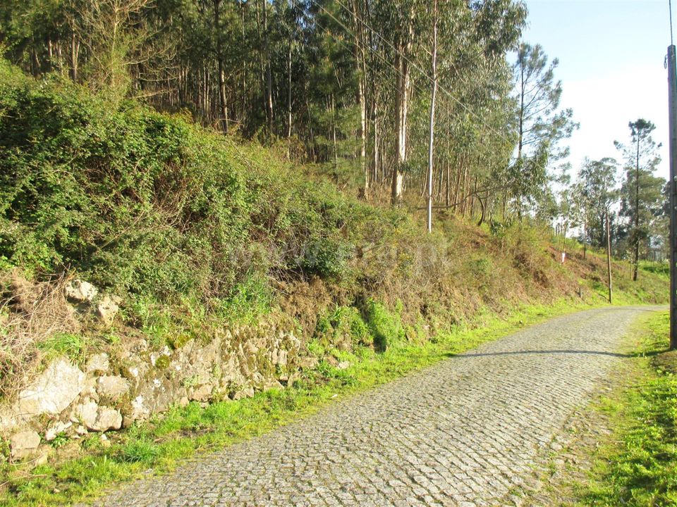 Helårsgrund i Barcelos, Braga - foto 1