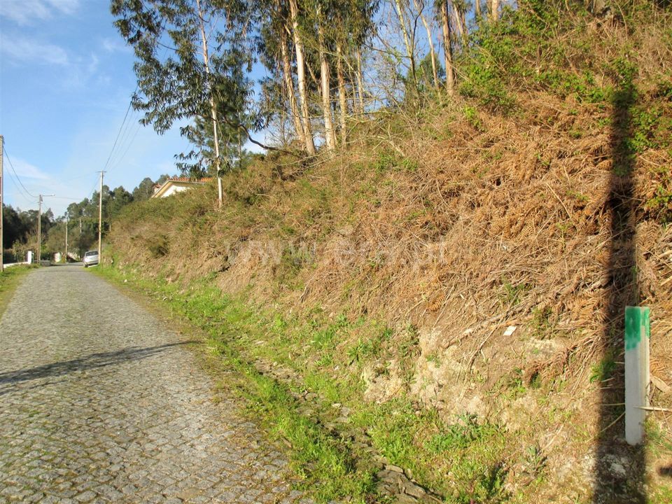 Helårsgrund i Barcelos, Braga - foto 4