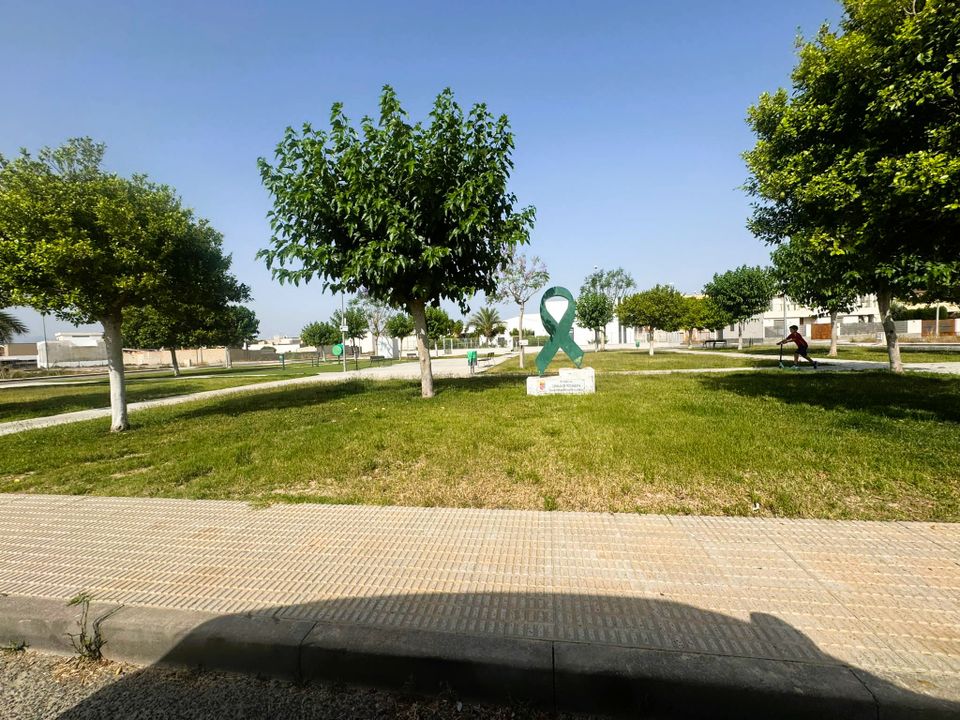 Działka: Cox, Alicante – zdjęcie 5