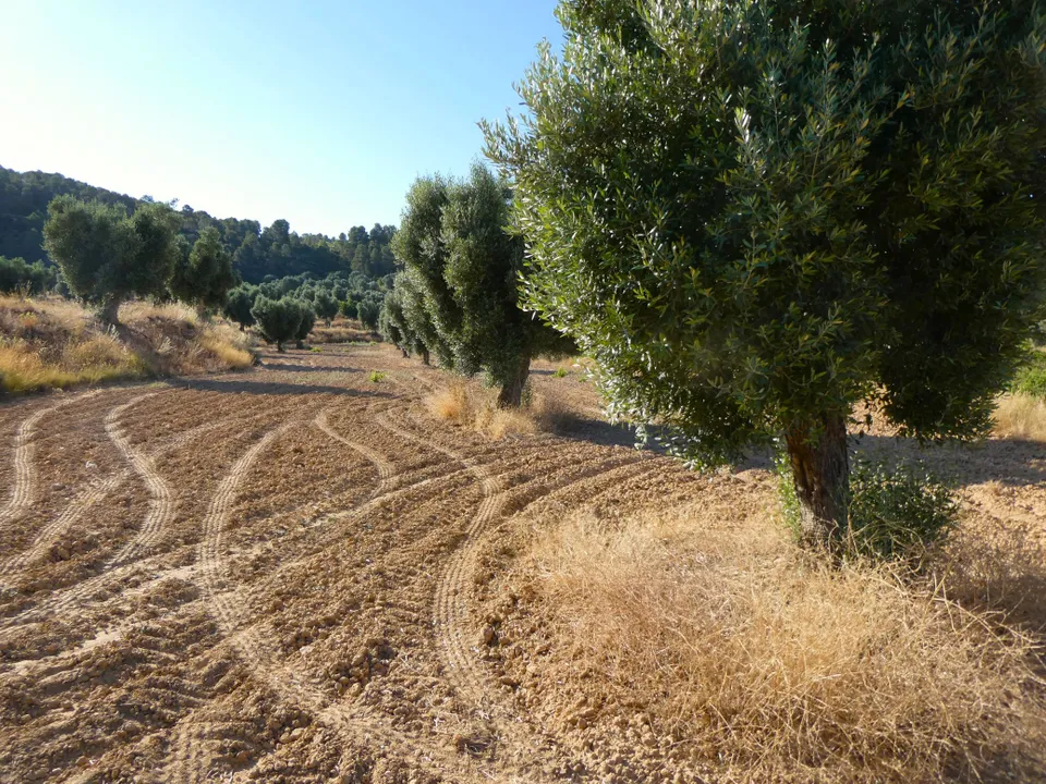 Finca i Mazaleon, Teruel - foto 3