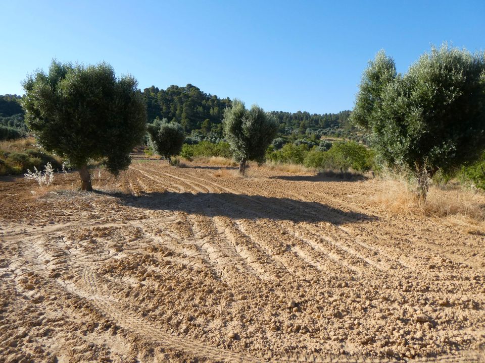 Finca i Mazaleon, Teruel - foto 2