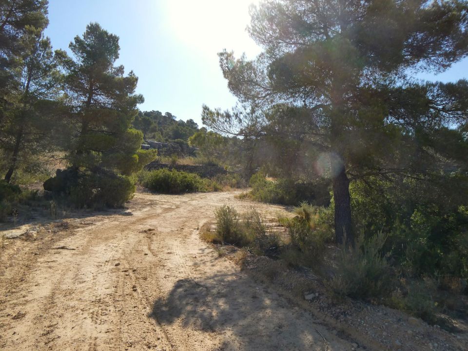Finca i Mazaleon, Teruel - foto 4