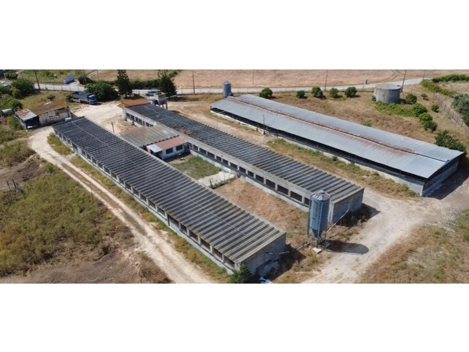 Helårsgrund i Palmela, Setubal - foto 1