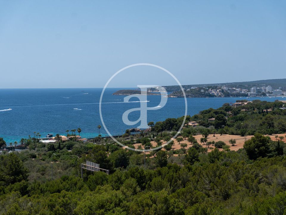 Helårsgrund i Calvia, Mallorca - foto 3