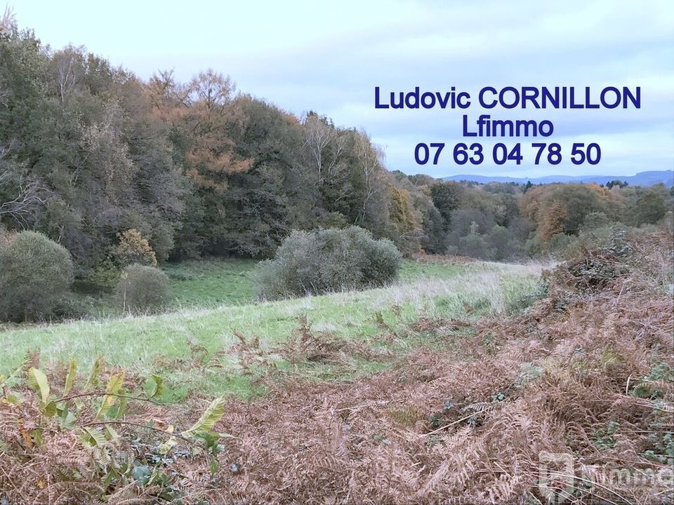 Helårsgrund i Soudaine-Lavinadiere, Correze - foto 1