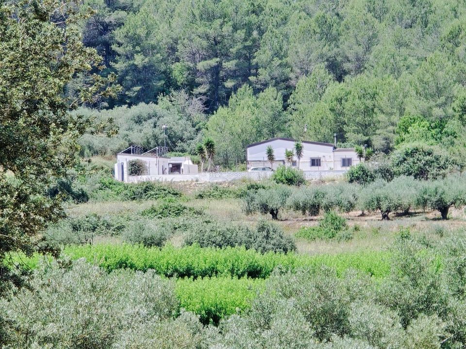 Villa i Beniganim, Valencia - foto 5