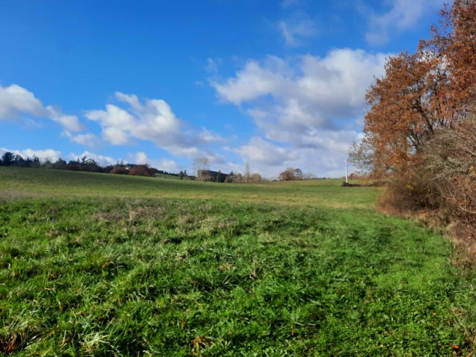 Terra a Auch, Gers - foto 2