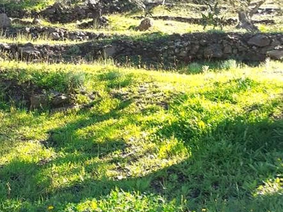 Landejendom i Arenas De Velez, Malaga - foto 5
