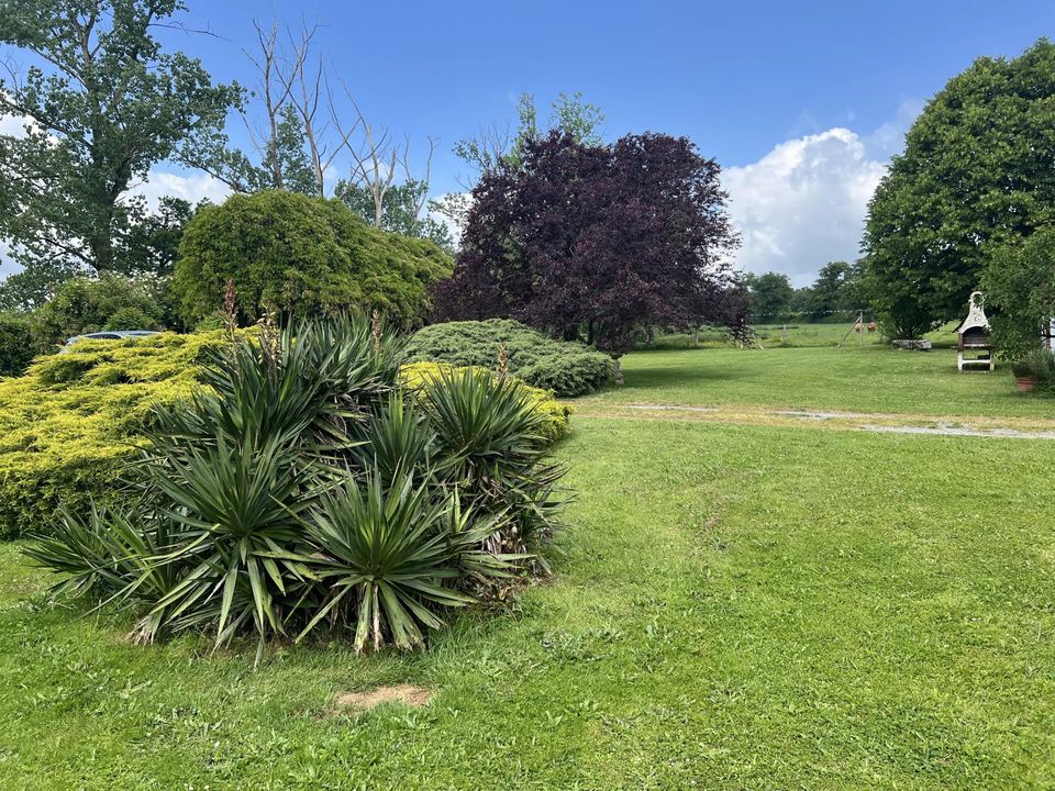 Villa i Bellac, Haute-Vienne - foto 2