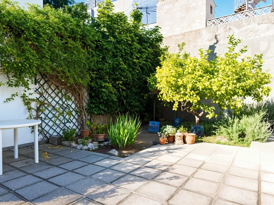 Villa i Cala Sant Vicenc (Pollenca), Mallorca - foto 3