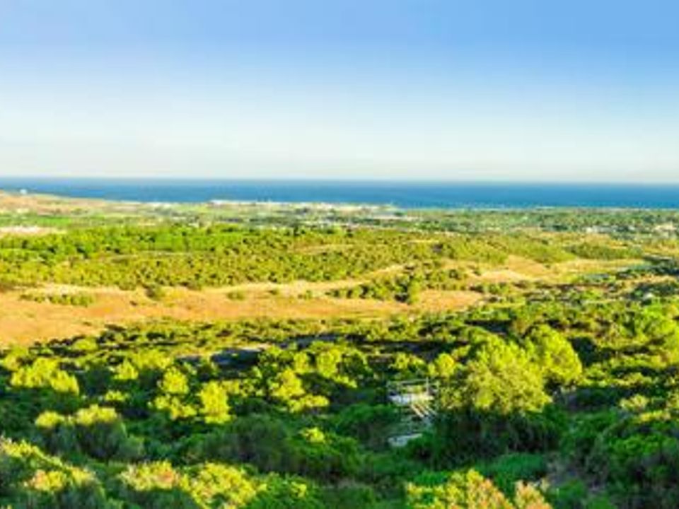 Helårsgrund i Sotogrande, Cadiz - foto 4