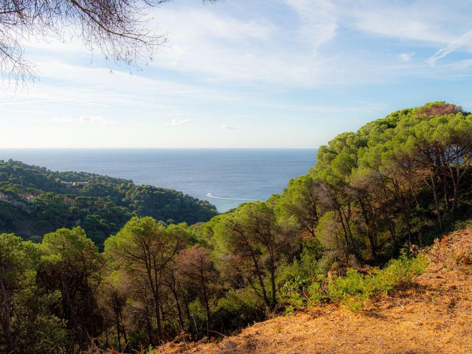 Helårsgrund i Lloret De Mar, Gerona - foto 2