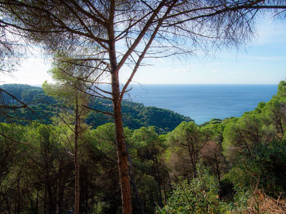 Helårsgrund i Lloret De Mar, Gerona - foto 3