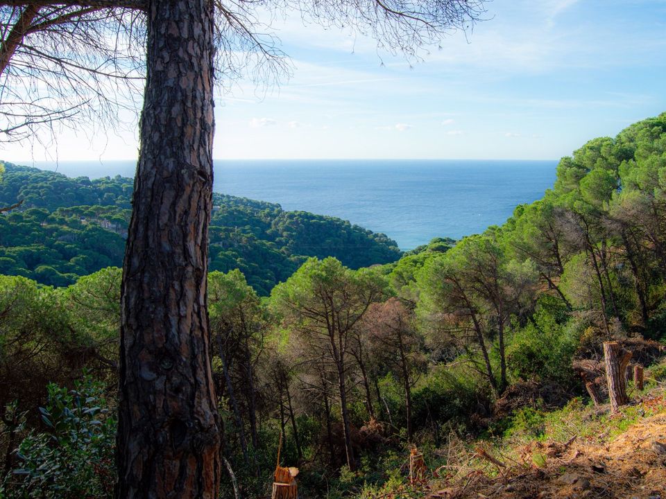 Helårsgrund i Lloret De Mar, Gerona - foto 5