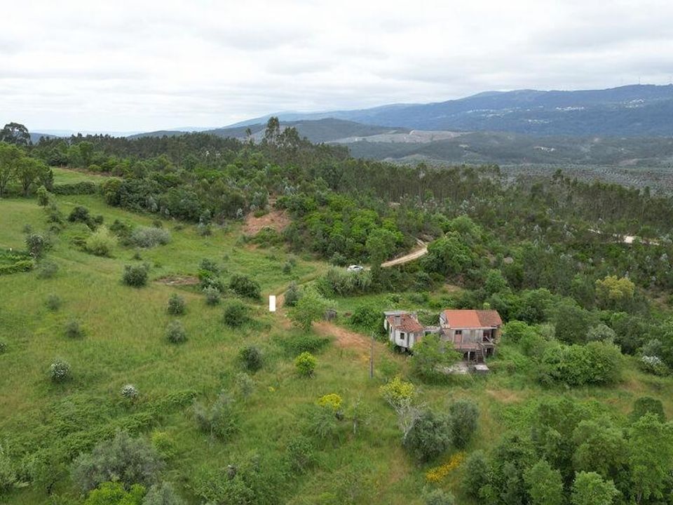 Casa de pueblo en Penela, Coimbra - foto 5