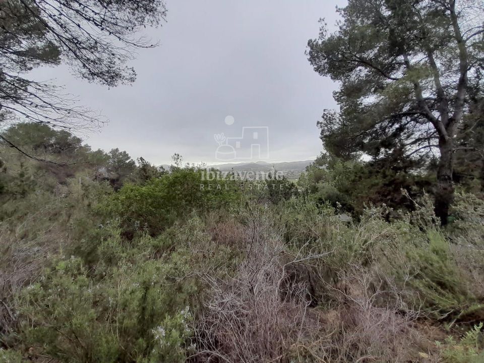 Villa i Santa Eulalia Del Rio, Ibiza - foto 3