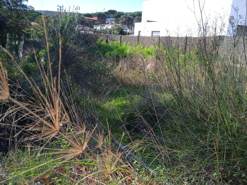 Helårsgrund i Calonge, Gerona - foto 4
