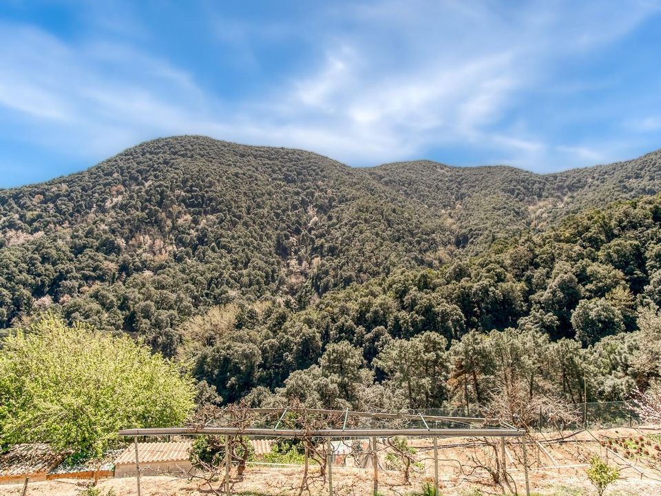 Landejendom i Tordera, Barcelona - foto 4