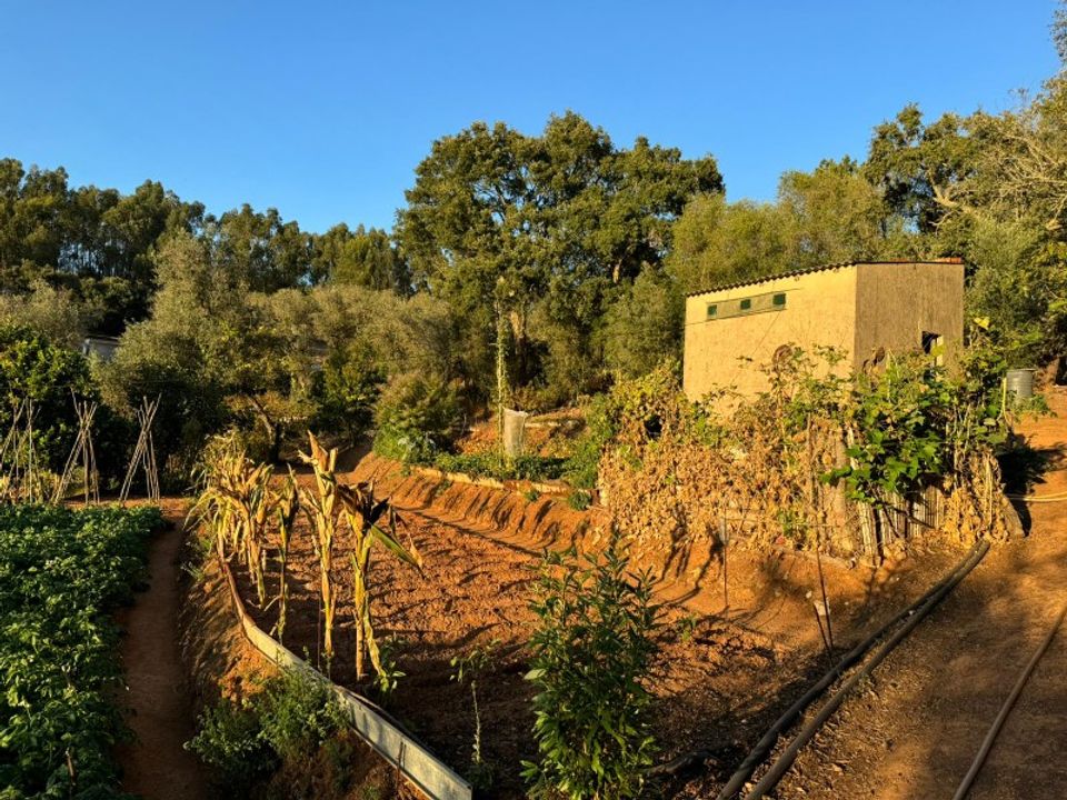 Terra a Marmelete, Faro - foto 1