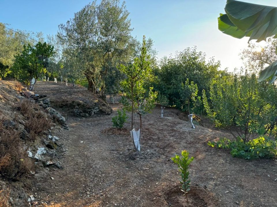 Terra a Marmelete, Faro - foto 2