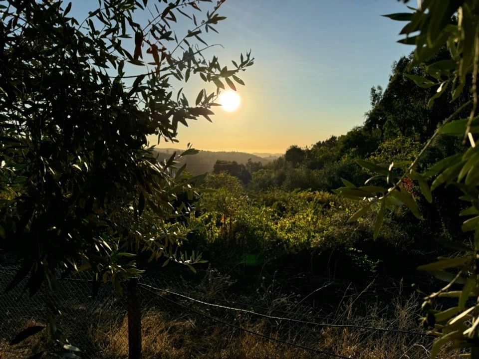 Terra a Marmelete, Faro - foto 4