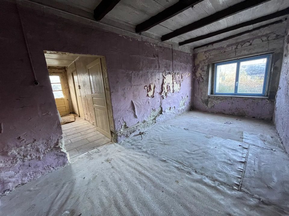 Villa i Bellevigne-les-Châteaux, Maine-et-Loire - foto 4