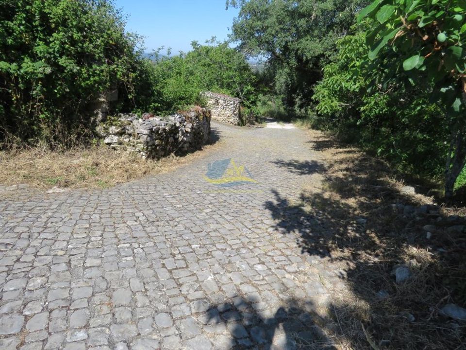 Helårsgrund i Ansiao, Leiria - foto 4
