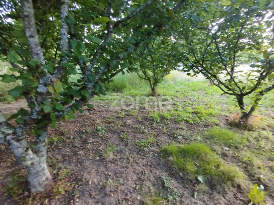 Tomt i Ranhados, Viseu - bilde 3