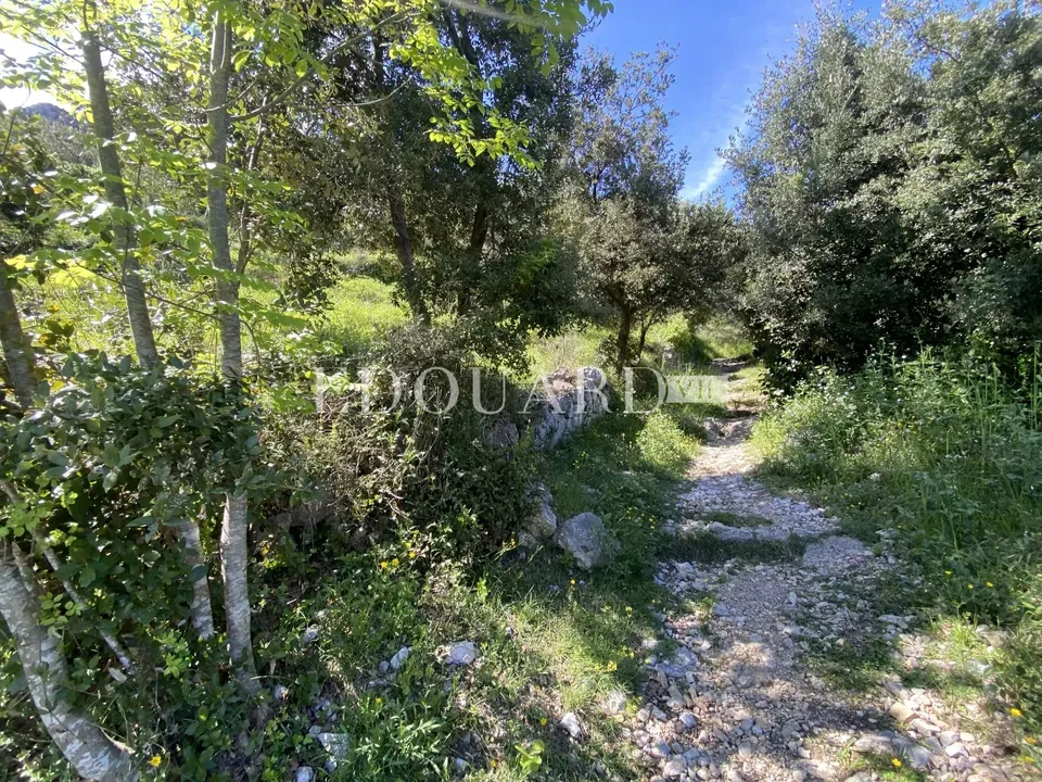Tomt i Sainte-Agnes, Alpes-Maritimes - bilde 2