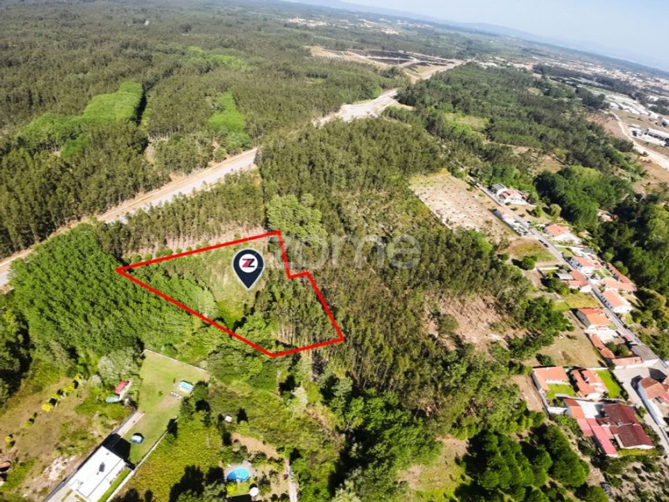 Helårsgrund i Cantanhede, Coimbra - foto 1