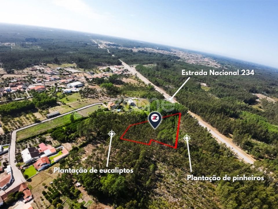Helårsgrund i Cantanhede, Coimbra - foto 2