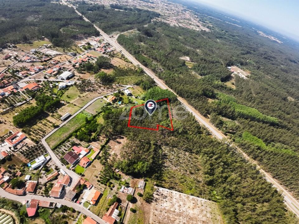 Helårsgrund i Cantanhede, Coimbra - foto 3