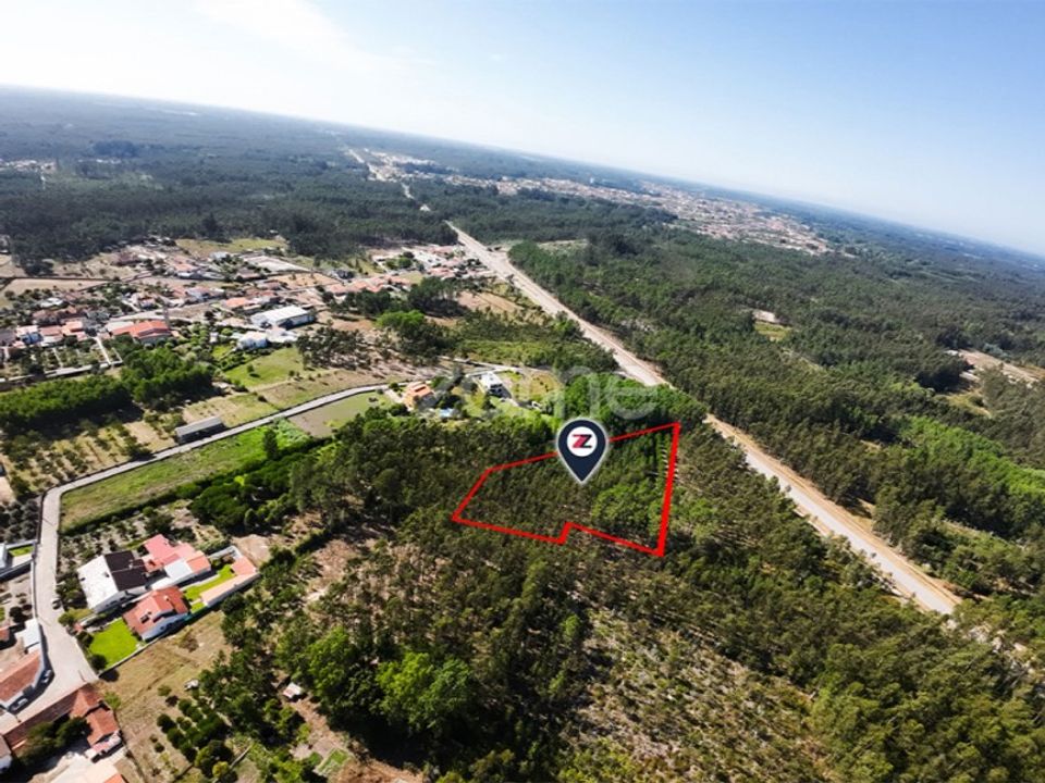 Helårsgrund i Cantanhede, Coimbra - foto 4