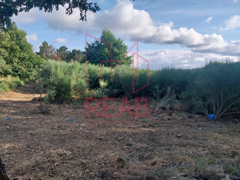 Helårsgrund i Aguiar da Beira, Guarda - foto 1